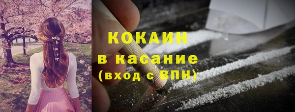 индика Армянск